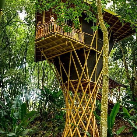 Eco Hotel Hacienda El Diamante Buga Extérieur photo