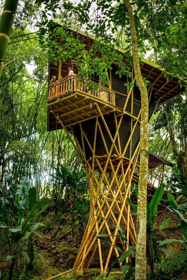 Eco Hotel Hacienda El Diamante Buga Extérieur photo